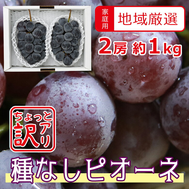 【2020/順次配送中】 送料無料 地域厳選 ピオーネ ニューピオーネ 訳アリ 2房 約 1kg 以上 葡萄 岡山 山梨 長野 ご家庭用 ピオーネ 黒い 真珠 マスカット ぶどう ギフト 暑中見舞い 訳あり 敬老の日 ギフト プレゼントのサムネイル