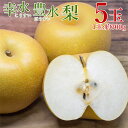 【7月25日より順次発送】【 幸水梨 豊水梨 5玉 】 梨 幸水 豊水 1玉 約 300g 予約 送料無料 地域厳選 佐賀県産 佐賀県 佐賀 ナシ 三水 5 玉...