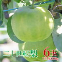 【9月初旬より順次発送】 【 二十世紀梨 6玉 】 送料無料 鳥取県産 二十世紀梨 20世紀梨 1玉 約 300g 6玉入り 二十世紀ナシ 鳥取 ご家庭用 鳥取...