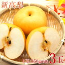 【10月初旬から順次ご発送】【 地域厳選 新高梨 3玉 】 送料無料 新高梨 3玉 売り 1玉 約 350g前後 送料無料 新高 梨 幸水 豊水 赤梨 地域厳選...
