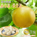 【8月下旬より順次発送】 【 秀品 鳥取県産 新甘泉 秋甘泉 大玉 3玉 】( 1玉 400g前後 ) 贈答用 送料無料 1玉 400g 前後 しんかんせん、梨...