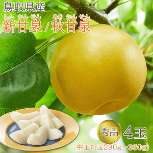 【8月下旬より順次発送】 【 秀品 鳥取県産 新甘泉 秋甘泉 中玉 4玉 】( 1玉 290g~360g) 贈答用 送料無料 1玉 290g~360g しんかんせん、梨 秀品 鳥取 鳥取県 梨 赤梨 20世紀梨 筑水 なし ナシ ギフト ご自宅用 果物 くだもの フルーツ ギフト 暑中見舞い 敬老の日