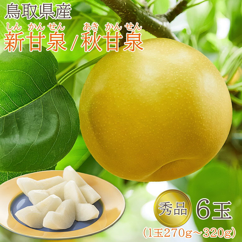 【ふるさと納税】数量限定！平和農園 新高梨 （2～3玉）＜約2kg＞