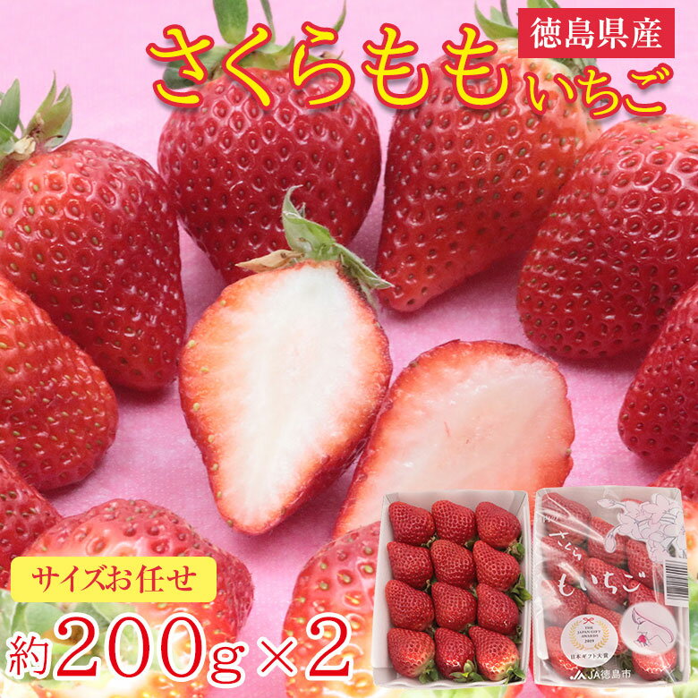 【2022/予約受付中】 送料無料 徳島県 徳島イチゴ 徳島 いちご イチゴ さくらももいちご さくらもも いちご 苺 秀品 サイズお任せ 約 200g × 2パック パック ギフトボックス 箱入り 秀品 ご家庭用 いちご ケーキ ギフト お歳暮 誕生日 ギフト プレゼント