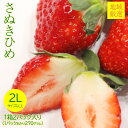 【1月20日以降発送】 送料無料 地域厳選 いちご イチゴ さぬき姫 さぬきひめ 苺 秀品 特大 大 ...