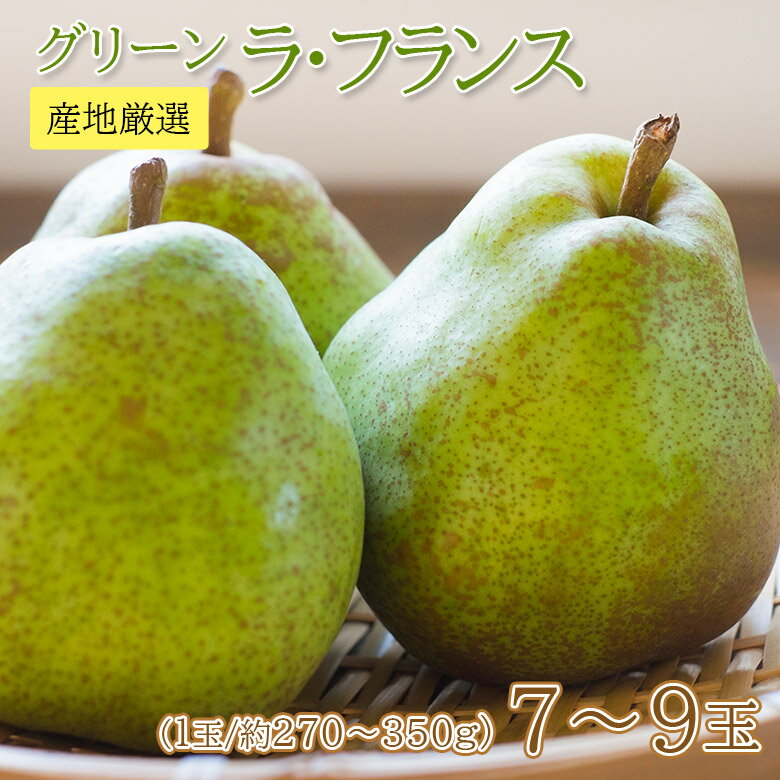 【11月初旬から順次ご発送】 送料無料 山形 地域厳選 ラ・フランス 1玉 約270g~350g 7~9玉 山形県 ラフランス ラ・フランス グリーン ラフランス 洋梨 洋ナシ 洋なし 玉数お任せ 大きさお任せ ご家庭用 なし ナシ ギフト ご自宅用 果物 くだもののサムネイル