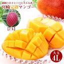 【4月より順次ご発送】 【 宮崎完熟マンゴー 1000g以上 特大 4L 2玉 (510g×2) 】 送料無料 宮崎マンゴー 完熟マンゴー マンゴー 大玉 特大 国産 国産マンゴー 母の日 マンゴー アップルマンゴー ギフト 贈り物 贈答品 お中元 御中元 お取り寄せ