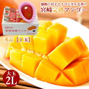 【4月初旬以降から順次ご発送】 【 宮崎完熟マンゴー 2L 1玉 】 送料無料 宮崎完熟マンゴー 宮崎マンゴー 完熟マンゴー マンゴー 宮崎 大玉 2L 1玉 ...
