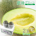 【6月初旬から順次ご発送】 送料無料 肥後グリーン 熊本 熊本メロン 肥後グリーンメロン マスクメロン メロン グリーンメロン 2玉 約 3kg メロン 即納 ...
