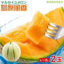 【6月10日頃から順次ご発送】【 マルセイユメロン L 〜 2L 2玉 】 送料無料 赤肉メロン メロン 島原風香 長崎県 長崎 産地直送 メロン マスクメロン...