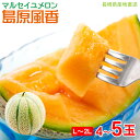 【6月10日頃から順次ご発送】【 マルセイユメロン 4玉 〜 5玉 】 送料無料 赤肉メロン メロン 島原風香 長崎県 長崎 産地直送 メロン マスクメロン メ...