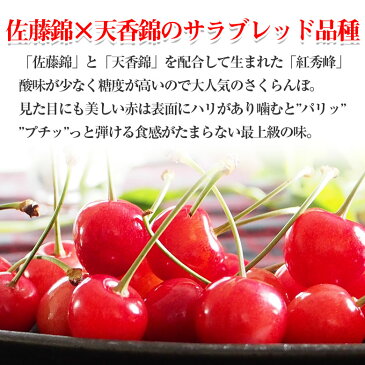 【2021/予約受付中】 送料無料 紅秀峰 さくらんぼ 山形さくらんぼ サクランボ 佐藤錦 2Lサイズ 手詰め 桐箱入り 35粒 産地直送 秀品 等級 秀 ギフト 贈り物 母の日 プレゼント