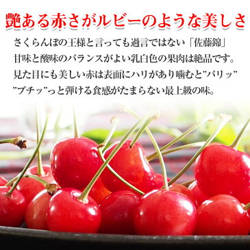 【2021/予約受付中】 送料無料 佐藤錦 さくらんぼ 山形さくらんぼ サクランボ 佐藤錦 2Lサイズ 手詰め 桐箱入り 35粒 産地直送 秀品 等級 秀 ギフト 贈り物 母の日 プレゼント