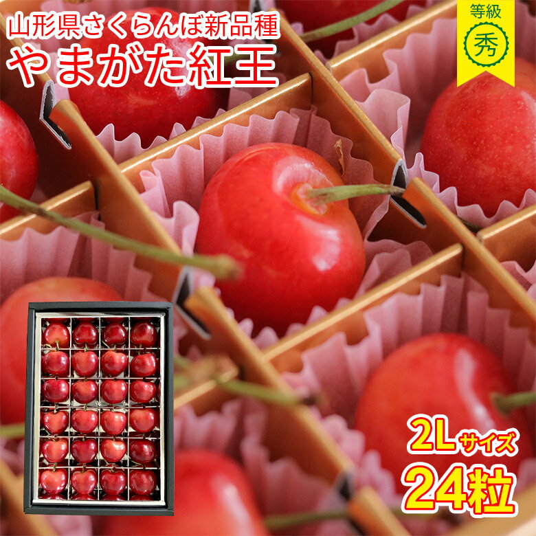 【6月中旬以降から順次ご発送】 送料無料 やまがた紅王 2L 24粒 さくらんぼ 山形さくらんぼ サクランボ 大玉 山形県 山形 紅王 新品種 産地直送 秀品 等級 秀 ギフト 贈り物 父の日 プレゼント