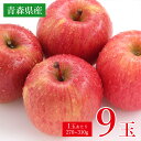 【順次発送中】 送料無料 青森県 青森 サンつるが サンふじ ふじりんご ご家庭用 9玉 1玉 270g 〜 310g 前後 りんご 国産 国産りんご 青森りん...