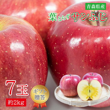 【2020/予約受付中】ギフト 贈答用 送料無料 青森県 青森 サンふじ ふじりんご 7玉 約 2kg りんご 蜜いり りんご 蜜入りりんご 国産 国産りんご 青森りんご リンゴ 秀品 ご家庭用 ご自宅用 加工用 果物 くだもの フルーツ ギフト 訳あり 冬ギフト お歳暮 敬老の日