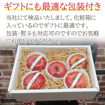 【2021/順次配送中】ギフト 贈答用 送料無料 青森県 青森 サンふじ ふじりんご 大玉 5玉 約 2kg りんご 蜜いり りんご 蜜入りりんご 国産 国産りんご 青森りんご リンゴ 秀品 ご家庭用 ご自宅用 加工用 果物 くだもの フルーツ ギフト 訳あり 冬ギフト クリスマス お年賀