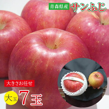 【2021/順次配送中】ギフト 贈答用 送料無料 青森県 青森 サンふじ ふじりんご 大玉 7玉 約 2.8kg りんご 蜜いり りんご 蜜入りりんご 国産 国産りんご 青森りんご リンゴ 秀品 ご家庭用 ご自宅用 加工用 果物 くだもの フルーツ ギフト 訳あり 冬ギフト クリスマス お年賀