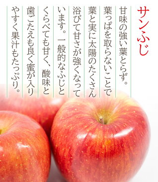 【2021/順次配送中】ギフト 贈答用 送料無料 青森県 青森 サンふじ ふじりんご 大玉 7玉 約 2.8kg りんご 蜜いり りんご 蜜入りりんご 国産 国産りんご 青森りんご リンゴ 秀品 ご家庭用 ご自宅用 加工用 果物 くだもの フルーツ ギフト 訳あり 冬ギフト クリスマス お年賀