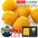 【4月下旬から順次ご発送】 【 長崎茂木びわ 化粧 L 2Lサイズ 12玉】玄海農園 送料無料 産地直送 長崎茂木びわ 茂木びわ 長崎びわ 長崎県 長崎県産 茂...