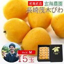 【4月下旬から順次ご発送】 【 長崎茂木びわ 化粧 Mサイズ 15玉】玄海農園 送料無料 産地直送 長崎茂木びわ 茂木びわ 長崎びわ 長崎県 長崎県産 茂木 び...