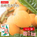【5月初旬から順次ご発送】 【 長崎茂木びわ サイズ M 約 1kg 目安 30個 前後 】送料無料 産地直送 長崎茂木びわ 茂木びわ 長崎びわ 長崎県 長崎県...