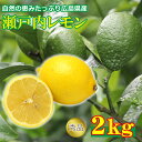 【2020/順次配送中】 送料無料 広島県産 瀬戸内レモン 2kg レモン 国産 国産レモン レモン果汁 ご家庭用 レモン ノーワックス ご自宅用 果物 くだもの フルーツ 敬老の日 ギフト 訳あり