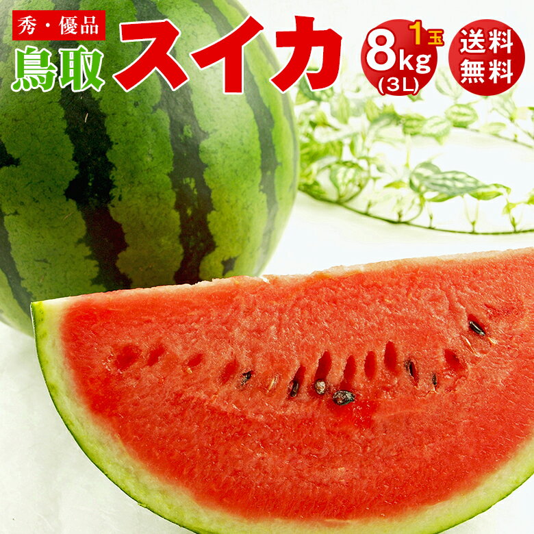 【2021/予約受付中】 送料無料 鳥取県産 鳥取すいか 3L サイズ 8kg 以上 ご家庭用 鳥取県 西瓜 すいか スイカ　大玉 西瓜 ギフト お中元のサムネイル