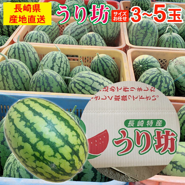 【5月下旬発送】 送料無料 長崎 長崎県産 すいか スイカ 