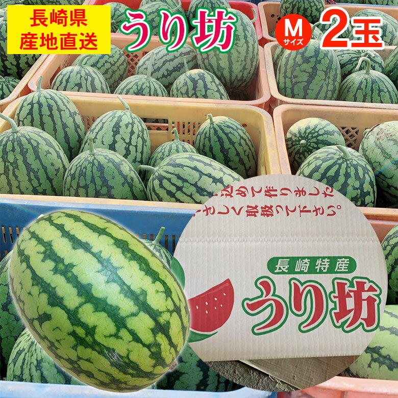 よく一緒に購入されている商品 送料無料 佐藤錦 さくらんぼ 山形さくらんぼ4,980円 商品名 小玉すいか うり坊 内容量・サイズ Mサイズ 2玉 保存方法・賞味期限 常温、商品到着後早めにお召し上がりください。 生産地 長崎県 販売者 株式会社GIANTKILLING クール便 非対応 商品説明 　「うり坊」は「ひとりじめ」シリーズと同じく、（株）萩原農場が開発し種苗を販売している長楕円形の小玉スイカです。 糖度が13度前後と高く、シャキッとした食感でとても美味しい品種です。 原産はアフリカで、中国より西の方から伝わったウリであるため「西瓜」と呼ばれるようになったそうです。 「スイカ」という名前も外来語のひとつのようなもので、中国でのサイクワァから訛ってスイカになったのだそうです。 今ではすっかり日本の夏を彩る果物になっていますね。 類似商品はこちら 送料無料 長崎 長崎県産 すいか スイカ 西5,980円 送料無料 小玉すいか 熊本 熊本県産 長崎 4,780円 送料無料 小玉すいか 熊本 熊本県産 長崎 7,000円 送料無料 ちょっと訳あり すいか 鳥取県 4,380円 送料無料 地域厳選 すいか 鳥取県 鳥取県4,800円 送料無料 鳥取県産 大栄すいか 大栄 すい7,200円 送料無料 鳥取県産 大栄すいか 大栄 すい6,980円 送料無料 産地直送 長崎茂木びわ 茂木びわ 3,200円 送料無料 産地直送 長崎茂木びわ 茂木びわ 3,800円新着商品はこちら2024/5/11 じゃがいも 新じゃが 春じゃが 送料無料 訳2,345円2024/5/11 送料無料 玉ねぎ 新玉ねぎ 新玉 産地直送 2,520円2024/5/11 送料無料 宮崎マンゴー 完熟マンゴー マン5,980円再販商品はこちら2024/5/1 送料無料 産地厳選 河内晩柑 パール柑 サウ2,680円2024/5/1 送料無料 産地厳選 河内晩柑 パール柑 サウ3,980円2024/4/24 送料無料 シャインマスカット 晴王 岡山県 4,680円2024/05/12 更新 食品＞フルーツ・果物＞スイカ部門 1位入賞 2024/03/19 14:05:00更新 商品名 小玉すいか うり坊 内容量・サイズ Mサイズ 2玉 保存方法・賞味期限 常温、商品到着後早めにお召し上がりください。 生産地 長崎県 販売者 株式会社GIANTKILLING クール便 非対応 商品説明 　「うり坊」は「ひとりじめ」シリーズと同じく、（株）萩原農場が開発し種苗を販売している長楕円形の小玉スイカです。 糖度が13度前後と高く、シャキッとした食感でとても美味しい品種です。 原産はアフリカで、中国より西の方から伝わったウリであるため「西瓜」と呼ばれるようになったそうです。 「スイカ」という名前も外来語のひとつのようなもので、中国でのサイクワァから訛ってスイカになったのだそうです。 今ではすっかり日本の夏を彩る果物になっていますね。 関連商品 スイカの商品一覧はこちら⇒ 夏の果物の商品一覧はこちら⇒