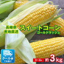 【2022/予約受付中】 送料無料 とうころこし スイートコーン ゴールドラッシュ 長崎県産 長崎  ...