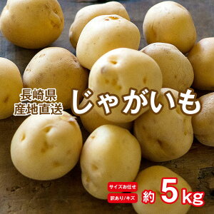 【2022/予約受付中】 送料無料 訳あり 産地直送 長崎県産 じゃがいも 新じゃが 新じゃがいも 約 5kg 馬鈴薯 ニシユタカ テジマ さんじゅう丸 ながさき黄金 メークイン じゃがいも訳あり サイズ混合 傷モノ