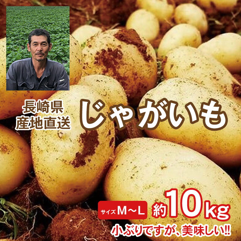 【2021/予約受付中】 送料無料 秀品 産地直送 長崎県産 じゃがいも 新じゃが 新じゃがいも Mサイズ Lサイズ 約 10kg 馬鈴薯 ニシユタカ テジマ さんじゅう丸 ながさき黄金 じゃがいものサムネイル