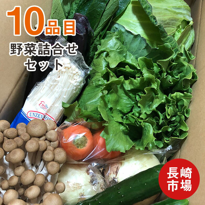 【2021/順次配送中】 送料無料 クール便 長崎県 旬野菜 10種 詰め合わせ セット 野菜 取り寄せ 通販 大根 にんじん 白菜 キャベツ 玉ねぎ じゃがいも 詰合せ 旬の野菜 訳あり 家庭用 自宅用のサムネイル