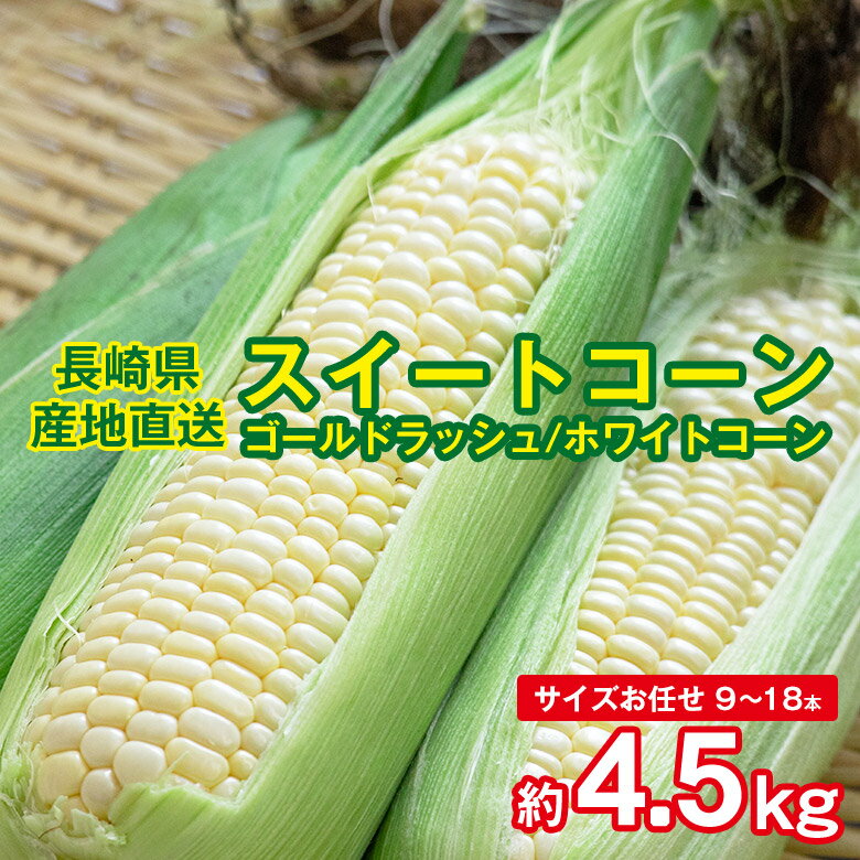 【5月下旬発送】 【 長崎県産 スイートコーン / ホワイトコーン 約4.5kg 】送料無料 とうもろこし スイ..