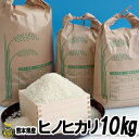 ヒノヒカリ米 10kg【送料無料】熊本産 美味しい お米