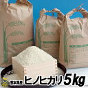 ヒノヒカリ米　5kg【送料無料】熊本産　美味しい　お米