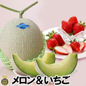 メロン＆いちご【送料無料】熊本県産 高級メロン とれたて 苺 贈答 ギフト