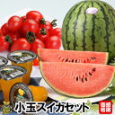 小玉スイカセット【送料無料】感謝価格 熊本県 小玉スイカ