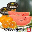 小玉スイカセット【送料無料】感謝価格 熊本県 小玉スイカ ハウスミカン