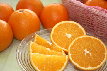 【2月中旬から】【送料無料】ネーブルオレンジ3kg【熊本県産】