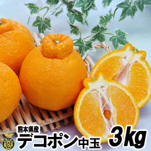 ハウスデコポン3kg（10-12玉）【送料無料】熊本県産　温室　デコポン　柑橘　贈答　ギフト