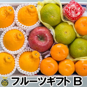 【12月中旬頃より発送開始】フルーツギフト（B）【送料無料】お歳暮ギフト　果物　詰合せ　贈答