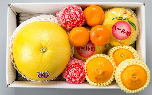 ���̥��եȡ�C�ˡ�����̵���۴��̥��եȡ���ʪ���͹礻��£��