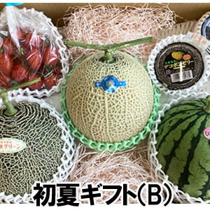 初夏ギフト(B)【送料無料】熊本県産 小玉スイカ マスクメロン 肥後グリーン 高級メロン フルーツトマト 初夏ギフト(B)【送料無料】熊本県産 小玉スイカ マスクメロン 肥後グリーン 高級メロン フルーツトマト