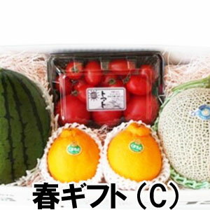 春ギフト（C）【送料無料】熊本県産　小玉スイカ　デコポン　高級メロン　贈答