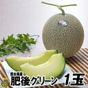 肥後グリーンメロン1玉（1.6kg）【送料無料】高級 メロン　贈答　ギフト