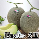 肥後グリーンメロン 2玉(1.5kg×2玉)【送料無料】高級 メロン 贈答 ギフト