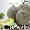 肥後グリーンメロン3玉(1.5kg×3玉)【送料無料】高級 メロン 贈答 ギフト