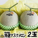 特選マスクメロン2玉【送料無料】熊本県 高級メロン 贈答品 ギフト お歳暮
